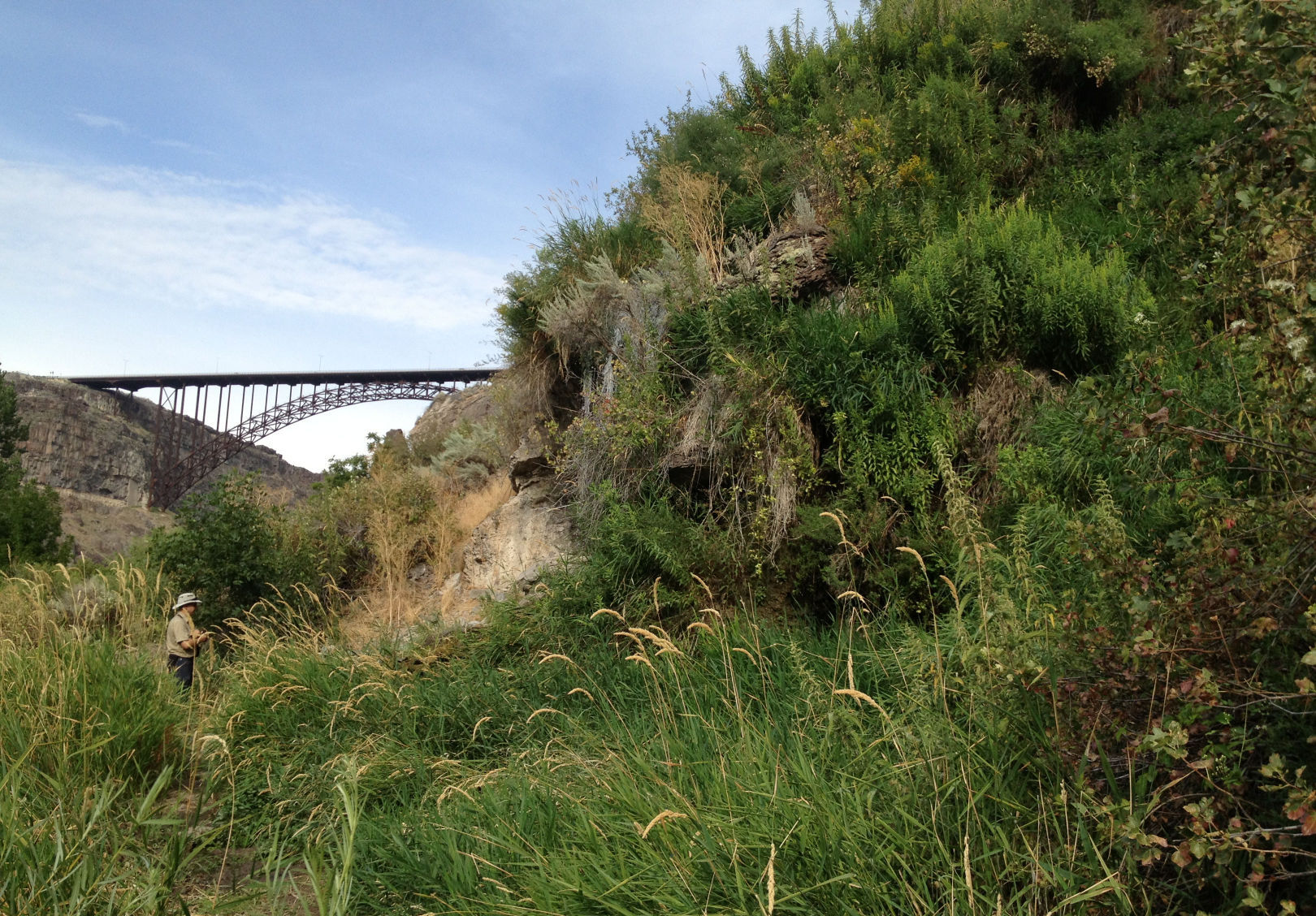 Urban Trail: Mogensen